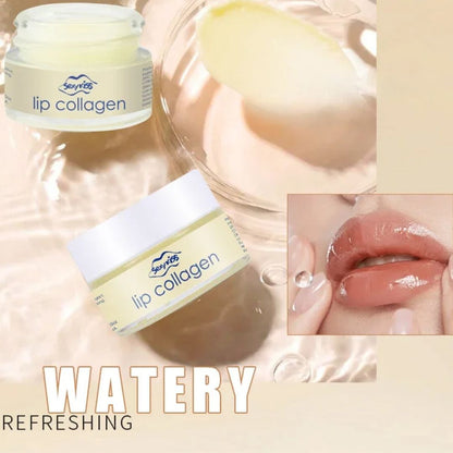 Hyaluronic Acid Collagen Sleep Lip Mask 20g.