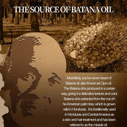 Raw Batana Oil Hair Growth Set
